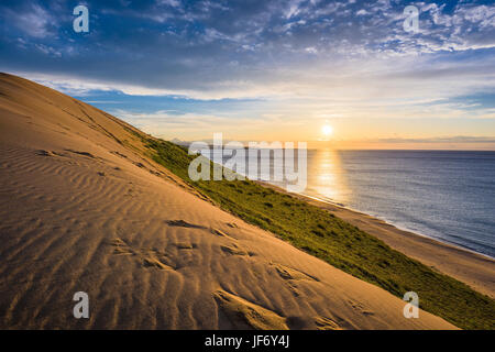 Tottori, Japan Sanddünen auf dem Meer von Japan. Stockfoto