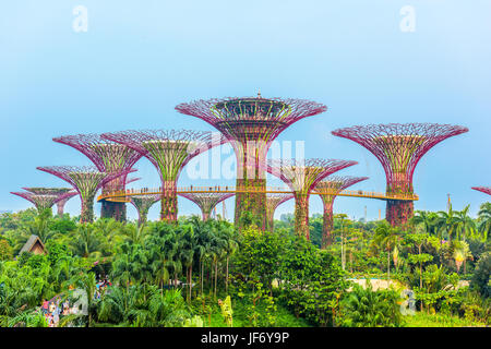 SINGAPUR - 5. SEPTEMBER 2015: Supertrees at Gardens by the Bay. Stockfoto