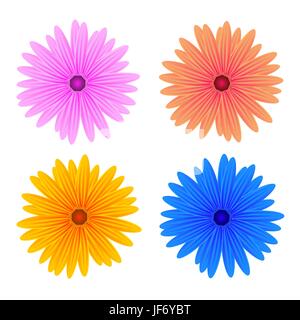 Bunte frische Frühlingsblumen Stock Vektor