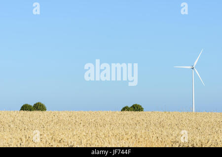 Windkraftanlage im Weizenfeld Stockfoto