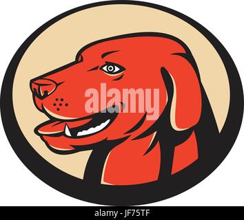 Hund, isoliert Labrador, Kopf, Grafiken, Tier, Haustier, Hund, Illustration, Retro, Stock Vektor