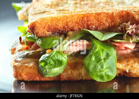 Frisch getoastetes Panini blt Sandwich Stockfoto