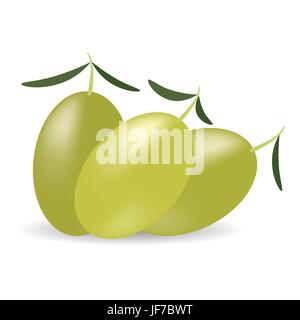 Grüne Oliven mit Blättern, Isolated on White Background Stock Vektor