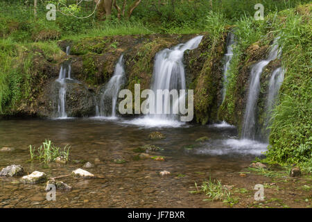 Wasserfall auf dem Fluß Lathkill in Lathkill Dale, Peak District National Park, UK Stockfoto