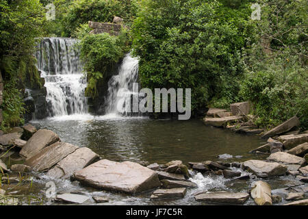 "Verborgene Wasserfall" in Penllergare Valley Woods, Swansea, Wales Stockfoto