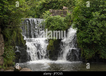 "Verborgene Wasserfall" in Penllergare Valley Woods, Swansea, Wales Stockfoto