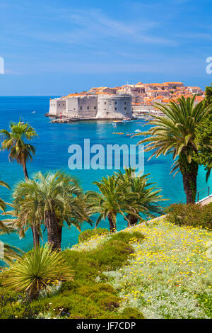 Dubrovnik Kroatien Dalmatien Dubrovnik Altstadt Stadtmauer und Luftaufnahme Adria, Dubrovnik, Dalmatien, Kroatien Europa Stockfoto