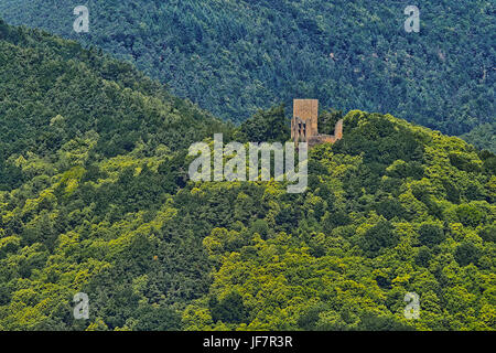 Burgruine Ramburg, Pfalz Deutschland mit blühenden Kastanien Bäumen im Juni Stockfoto