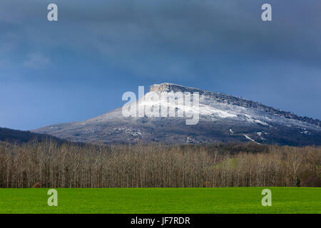 Wald, Wiesen und Berge im winter Stockfoto