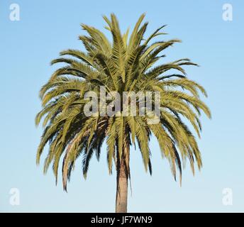 Impressionen aus der Dolores Park in San Francisco vom 1. Mai 2017, Kalifornien USA Stockfoto