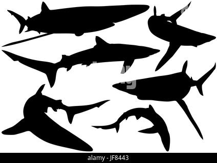 Blauhai Silhouetten Stock Vektor