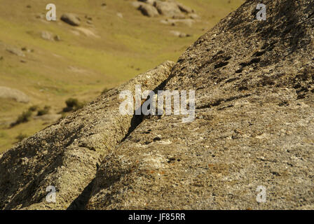 Semi-Wüste in Usbekistan Stockfoto