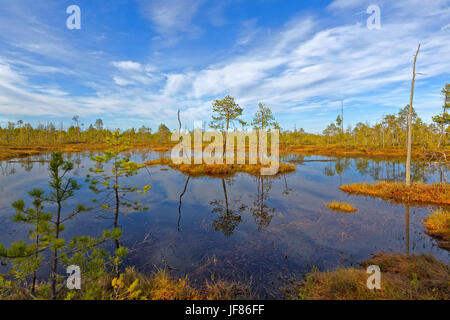 Unwegsamen Sumpf in der sibirischen Taiga bei Sonnenuntergang Stockfoto