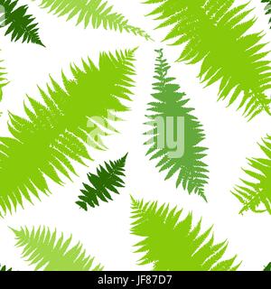 Farn nahtlose Muster Stock Vektor