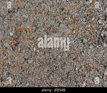 Zigaretten sucht Stockfoto