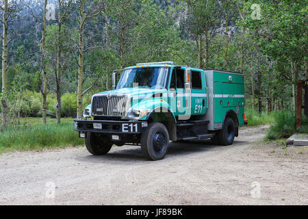 Forest Service U.S. Abteilung Landwirtschaft Feuerwehrauto auf einem Waldweg in Kalifornien, USA Stockfoto