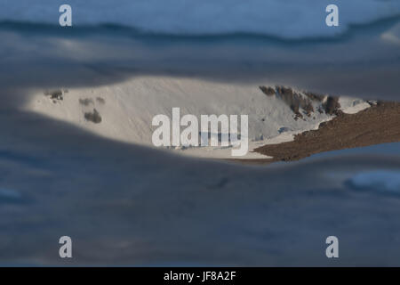 Eis schmelzen am Tioga Lake in der östlichen Sierra Nevada nach dem Rekord Schneefall im Winter 2016/17 Stockfoto