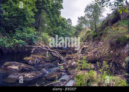 Great British Flüsse und Wasserfälle - Afon Ogwen oder Ogwen Fluss entlang Nant Ffrancon Darstellung in der Nähe von Bethesda, Snowdonia, Nordwales Stockfoto