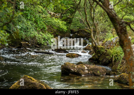 Great British Flüsse und Wasserfälle - Afon Ogwen oder Ogwen Fluss entlang Nant Ffrancon Darstellung in der Nähe von Bethesda, Snowdonia, Nordwales Stockfoto