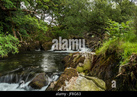 Great British Flüsse und Wasserfälle - Afon Ogwen oder Ogwen Fluss entlang Nant Ffrancon Darstellung in der Nähe von Bethesda, Snowdonia, Nordwales Stockfoto