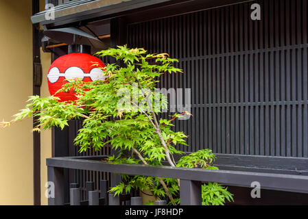 Äußere Nahaufnahme von Restaurant, mit einer jungen japanischen Ahorn Baum und rote Laterne. Gion, Kyoto, Japan. Stockfoto