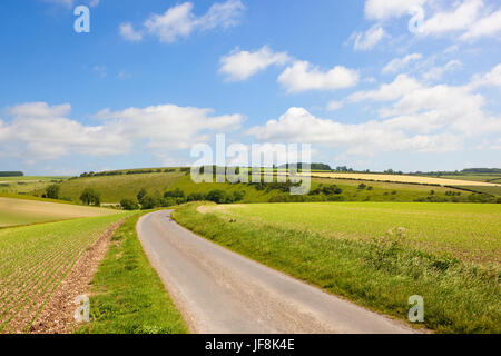 eine Landstraße neben Erbse Feld auf kalkhaltigen Böden mit Wiesen und Hecken unter einem blauen Sommerhimmel in die Yorkshire wolds Stockfoto