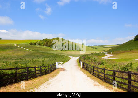 ein weißer Kalkstein Wanderweg und Maultierweg mit Wäldern und Wiesen unter einem blauen Sommerhimmel in die Yorkshire wolds Stockfoto