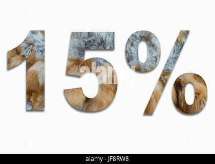 15 % Red fox Fell in einer Schrift ausgebildet Stockfoto