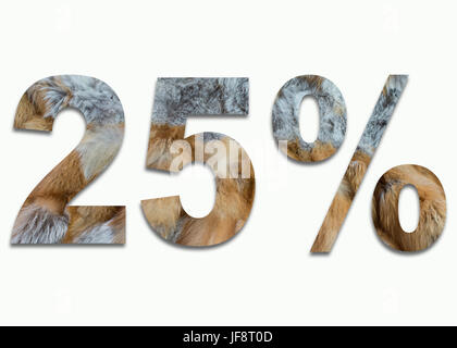 25 % Red fox Fell in einer Schrift ausgebildet Stockfoto