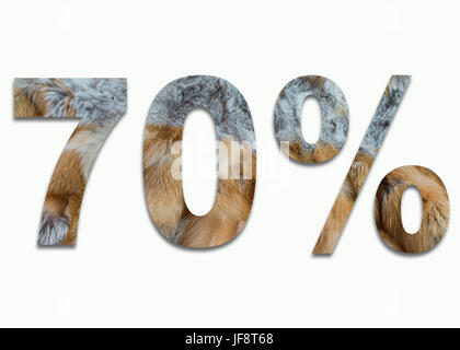 70 % Red fox Fell in einer Schrift ausgebildet Stockfoto