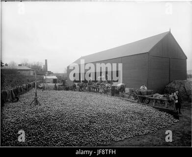 Einen Apfel am Tag hält die Apfelwein Maker entfernt 31557072164 o Stockfoto