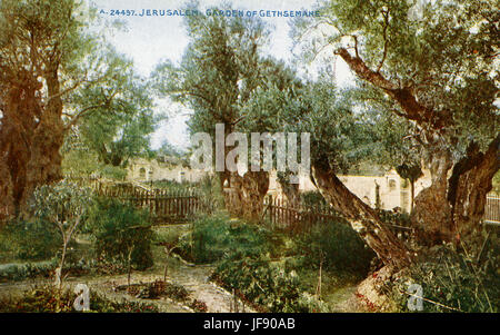 Der Garten von Gethsemane am Fuße der Ölberg in Jerusalem, berühmt als der Ort, wo Jesus betete, und seine Jünger schliefen am Vorabend seiner Kreuzigung. Stockfoto