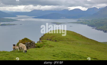 Blick vom Berg Ben Tianavaig in Richtung Halbinsel An Aird und der Süden, Isle Of Skye, Highlands, Schottland, UK Stockfoto