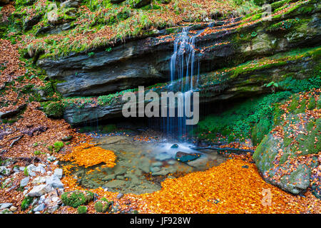 Fluss Quelle und Buche Blätter im Herbst. Stockfoto