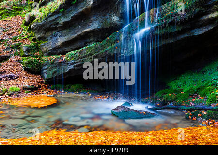 Fluss Quelle und Buche Blätter im Herbst. Stockfoto