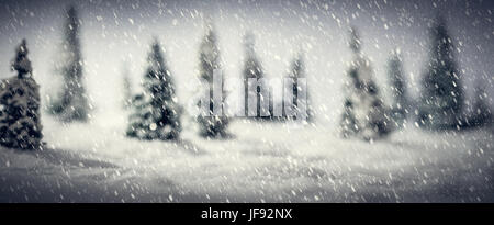 Winterwald Miniatur Spielzeug Bäume gemacht. Märchenhafte Landschaft, Fokus auf Schnee Vordergrund. Panorama, banner Stockfoto