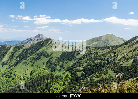 Panorama der krivanska Mala Fatra Gebirge mit stoh, steny, Velky Rozsutec und Maly rozsutec Hügel beim Wandern von snilovske sedlo zu Chleb Stockfoto