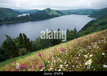 Llyn Clywedog Stausee nahe Llanidloes Powys Wales Stockfoto