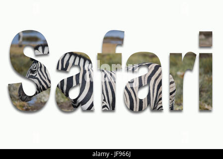 Afrika und wilden Tieren in einer Schriftart Stockfoto