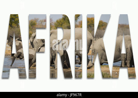 Afrika und wilden Tieren in einer Schriftart Stockfoto