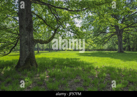 Geschützte Landschaft in der Nähe Waldenburg, Deutschland Stockfoto