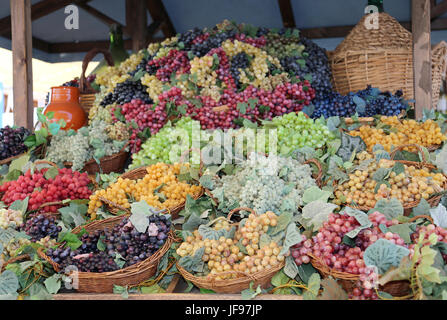 Körbe mit reifen Trauben und eine Korbflasche im Herbst Stockfoto