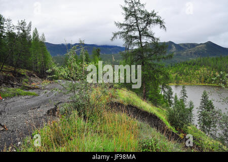 Foto-Feldweg nach dem Regen in die jakutische Taiga am Ende des Sommers. Oimjakon Hochland, ein Grat Suntar-Khayata zwischen See Ulu-Moschee und die Stockfoto