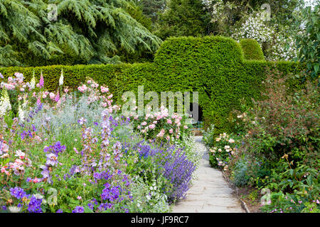 Bunte Sommergarten mit einem Wanderweg durch Blumen in voller Blüte und Beschnittene Hecke. Stockfoto