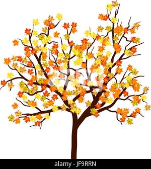 Herbst Ahornbaum Stock Vektor