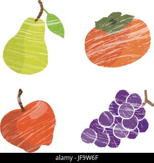 Herbst und Wintr Früchte illustration Stock Vektor