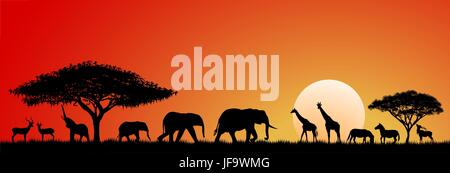 Tiere der Savanne Stock Vektor