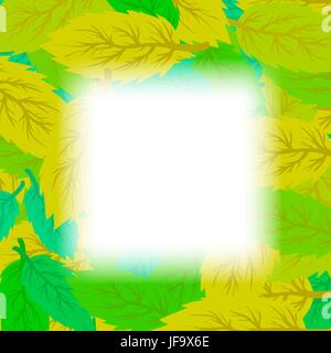 Herbst Blätter Hintergrund. Satz von gelben und grünen Blättern. Blätter-Frame Stock Vektor