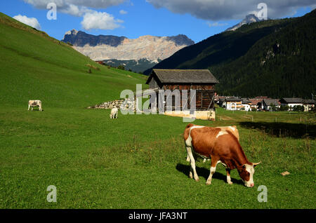 Alpen, Dolomiten, Italien, Europa, Südtirol, Stockfoto