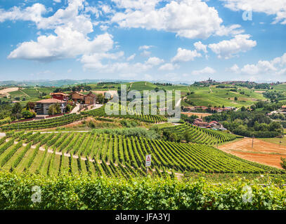 Panorama über die Weinberge des Piemont Stockfoto